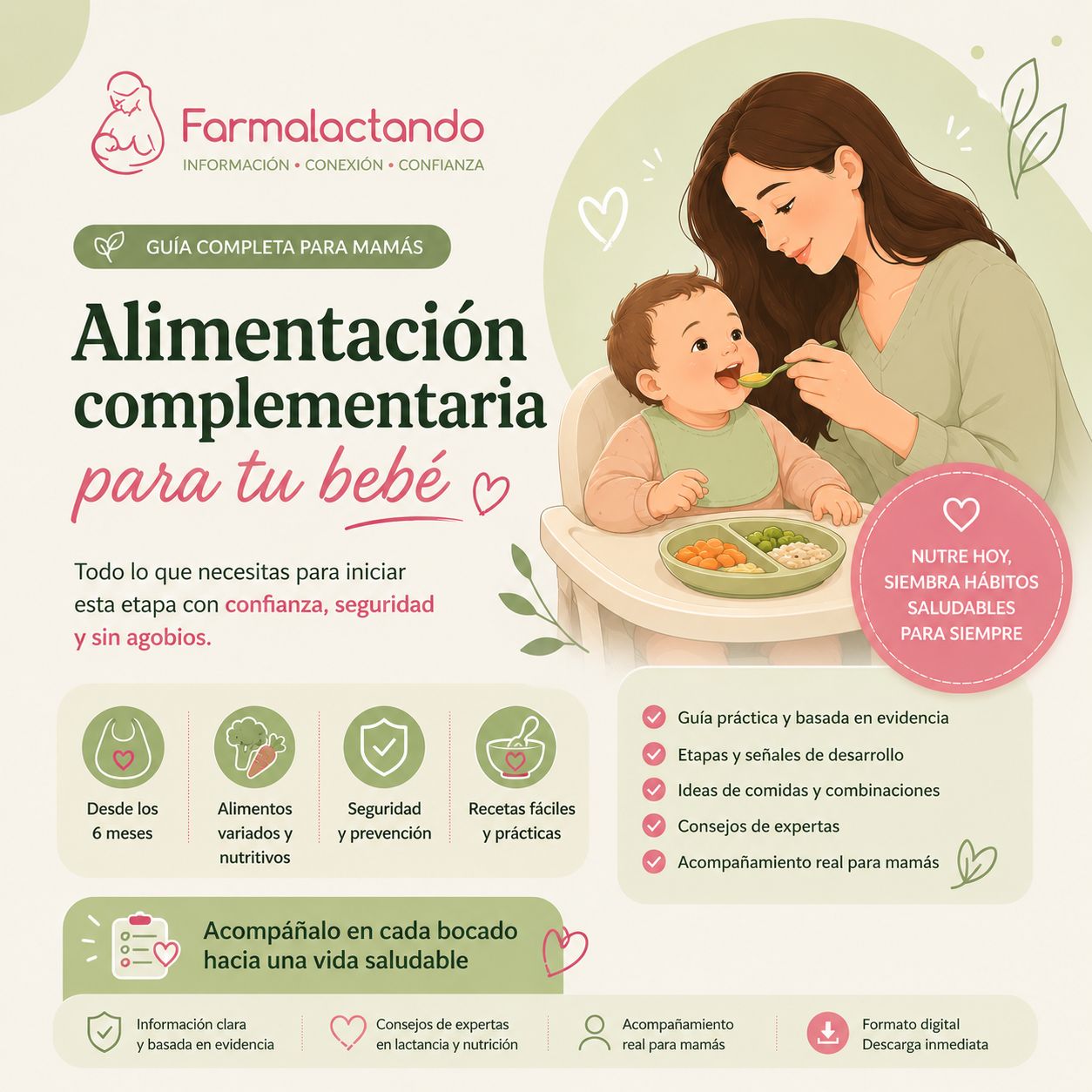 Guía alimentación complementaria
